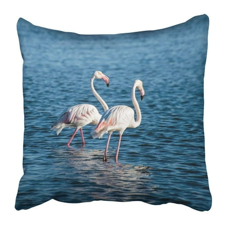 BPBOP Pink Algae Two Flamingos Search for Food in the Shallow Waters at Walvis Bay Alkaline Bird Feathers Pillowcase 18x18