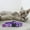B, variant on " Print Cat Collar Breakaway Collar with (Colorful Woven Nylon Pet Neckband)"