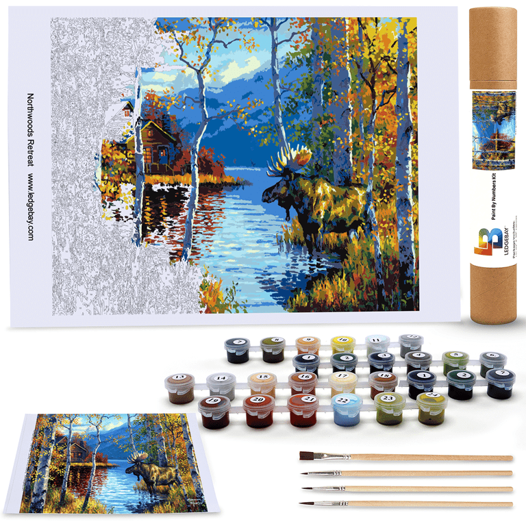  Paint by Number for Adults- DIY Adult Paint by Number Kits On  Canvas, Mountains Adults Paint by Numbers, Painting by Numbers for  Beginners Acrylic Paint Mountains Lake Crafts for Home Decor