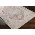 thumbnail image 2 of Surya Alanya ALY-2303 31 x 87" Runner Fabric Rug in Light Blue/Brick Red, 2 of 6