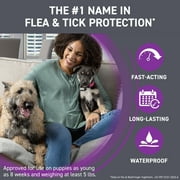 FRONTLINE Plus for Dogs Flea & Tick Medium Breed Dog Spot Treatment, 23 - 44 lbs, 8 Count