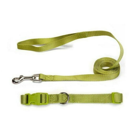 Nylon Solid Color Dog Collar and Lead 2 Piece Sets Durable Adjustable Selections (Lime Green,xSmall)