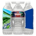 OZARKA Brand 100 Natural Spring Water, 16.9ounce plastic bottles