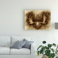 thumbnail image 3 of Trademark Fine Art 'Rustic Antler Mount II' Canvas Art by Ethan Harper, 3 of 4