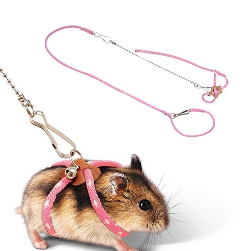 guinea pig leash walmart