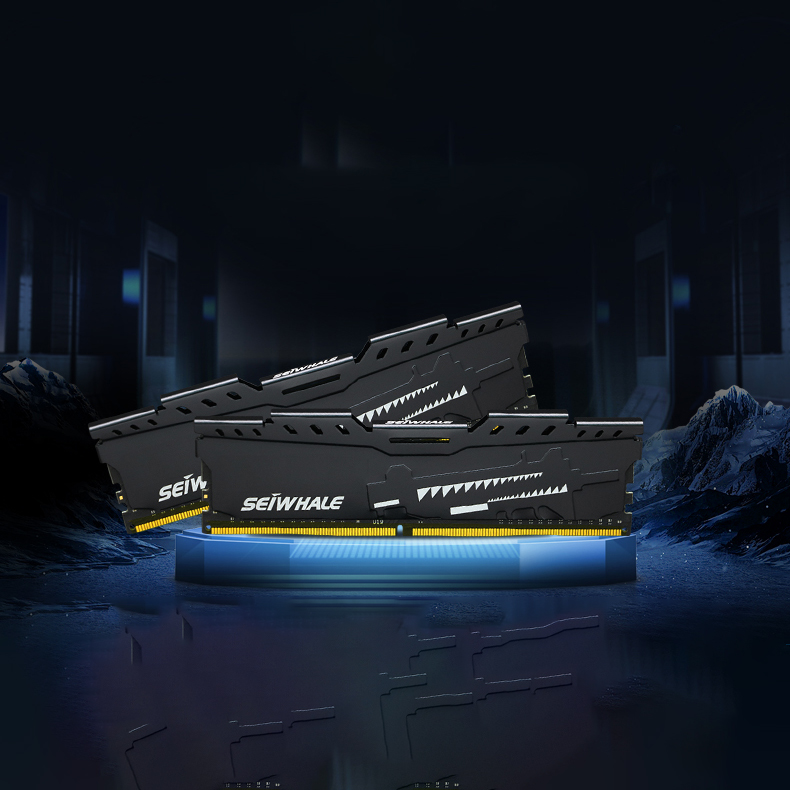 SEIWHALE 32GB (1x32GB) 3200Mhz DDR4 Desktop Memory - Walmart.com