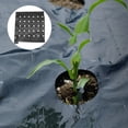 thumbnail image 4 of SKISUNO 2Pack Vegetable Mulch Film For Soil Preservation In Farming 394X37In, 4 of 8