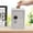 White, variant on 7.1 INCH Money Safe and Cash Lock Box, Mini Size Security Safe Box for Money Jewelry and valuables, Slot Design On The Top, Mini Safe Box Money Locker Small Bank Money Saving Boxes with Tray 2 Keys