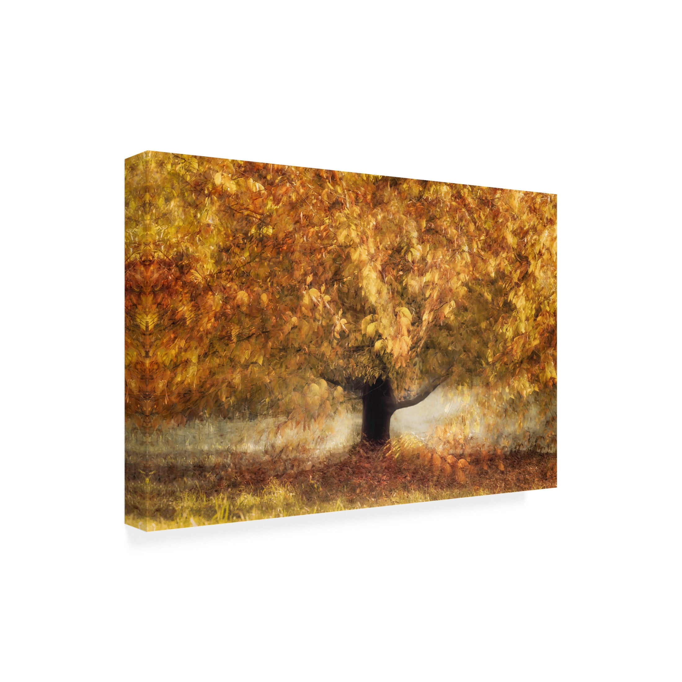 Trademark Fine Art Nel Talen Gold Colors Canvas Wall Art