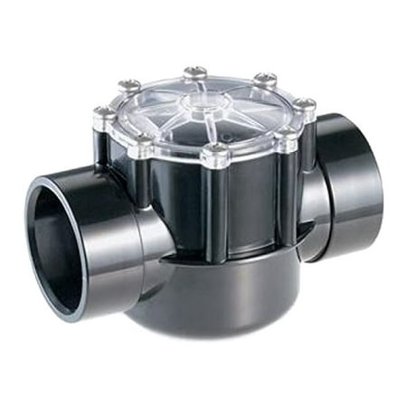 Check Valve 2 Slip - Pentair Swimming Pool Pump 2-Way CPVC Check Valve, Straight 2.5