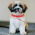 thumbnail image 4 of Collier Bling pour Chien avec Arc Réglable Colliers en Strass pour Chiens de Compagnie Chats, 4 of 7