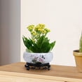 thumbnail image 4 of Cuenco de cerámica CLLC, maceta hidropónica para nenúfares con soporte, maceta para narcisos, maceta para cactus, contenedor decorativo para plantas para el hogar, la oficina y el jardín (D,C), 4 of 8