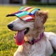thumbnail image 1 of unbranded 2Ud Gorras Con Y Sombrero De Ala Redonda Para Perros Con Protección Solar Y Dos Agujeros, 1 of 6