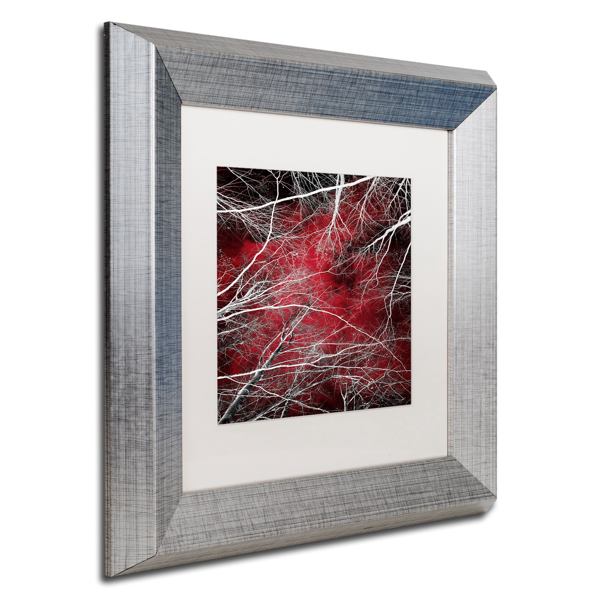Trademark Fine Art "Fear" Canvas Art by Philippe Sainte-Laudy White Matte, Silver Frame