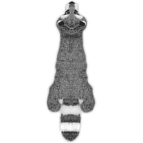 Best Pet Supplies Stuffless Squeaky Dog Toys with Soft, Durable Fabric, No Stuffing for Indoor Play, Holds a Plastic Bottle, Raccoon, Medium