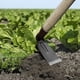 thumbnail image 5 of Azada portátil para desherbar acero de manganeso - Herramienta de jardinería multipropósito para plantar verduras y flores, martillar y quitar clavos, 5 of 5