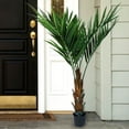 thumbnail image 2 of Trademark Global 50-6564-EP 60 in. Pure Garden Kentia Palm Tree, 2 of 4