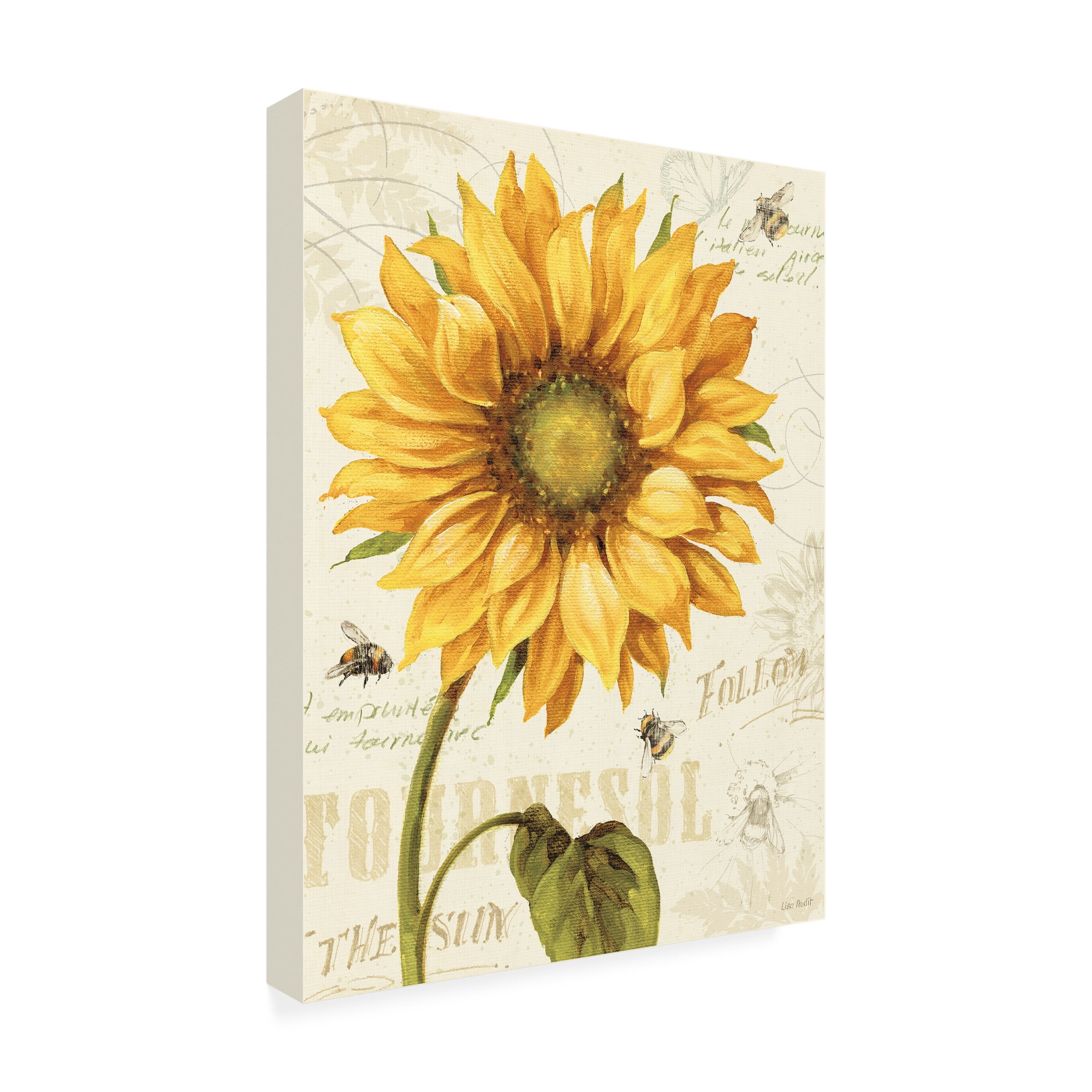 Trademark Fine Art Lisa Audit Under the Sun I Canvas Wall Art - 24x32