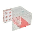 thumbnail image 3 of Almencla Nid de Fourmi Compact pour Ferme Château de Fourmis pour Table Cuisine pour Enfants 1.5cm, 3 of 8