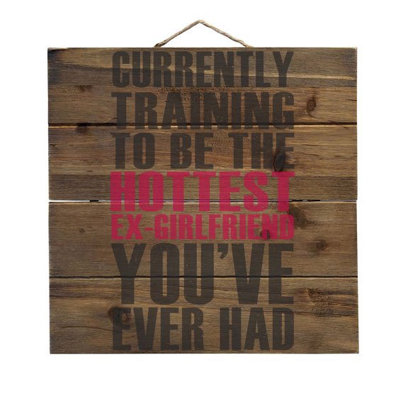 Training to be Hottest Ex Girlfriend Ever - Decorative REAL WOOD Wall Art - Faux Pallet Look
