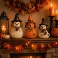 thumbnail image 4 of 3-Piece Halloween Decorations Vintage Witch Dog Figurines, Rustic Fall Tabletop Decor Set, Cute Spooky Animal Statues for Indoor Autumn Home Mantel Room Display, 4 of 13