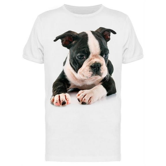 Puppy Boston Terrier, Picture T-Shirt Men -Image by Shutterstock, Male Small