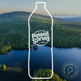 thumbnail image 6 of Poland Spring Maine Spring Water, 1 Liter, Single Plastic Bottle, 6 of 8