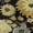 Black, variant on Addison Rugs Mayfield Premium Machine Washable Transitional Floral Terracotta Rectangle Rug, 10' x 14'