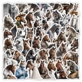 thumbnail image 6 of PLYZLE Steed Stickers 50PCS for Kids Girls Women,Cute Horse Party Favors & Decorations Gifts, Waterproof Stickers for Water Bottle Laptop Scrapbook Classroom Prizes, 6 of 6