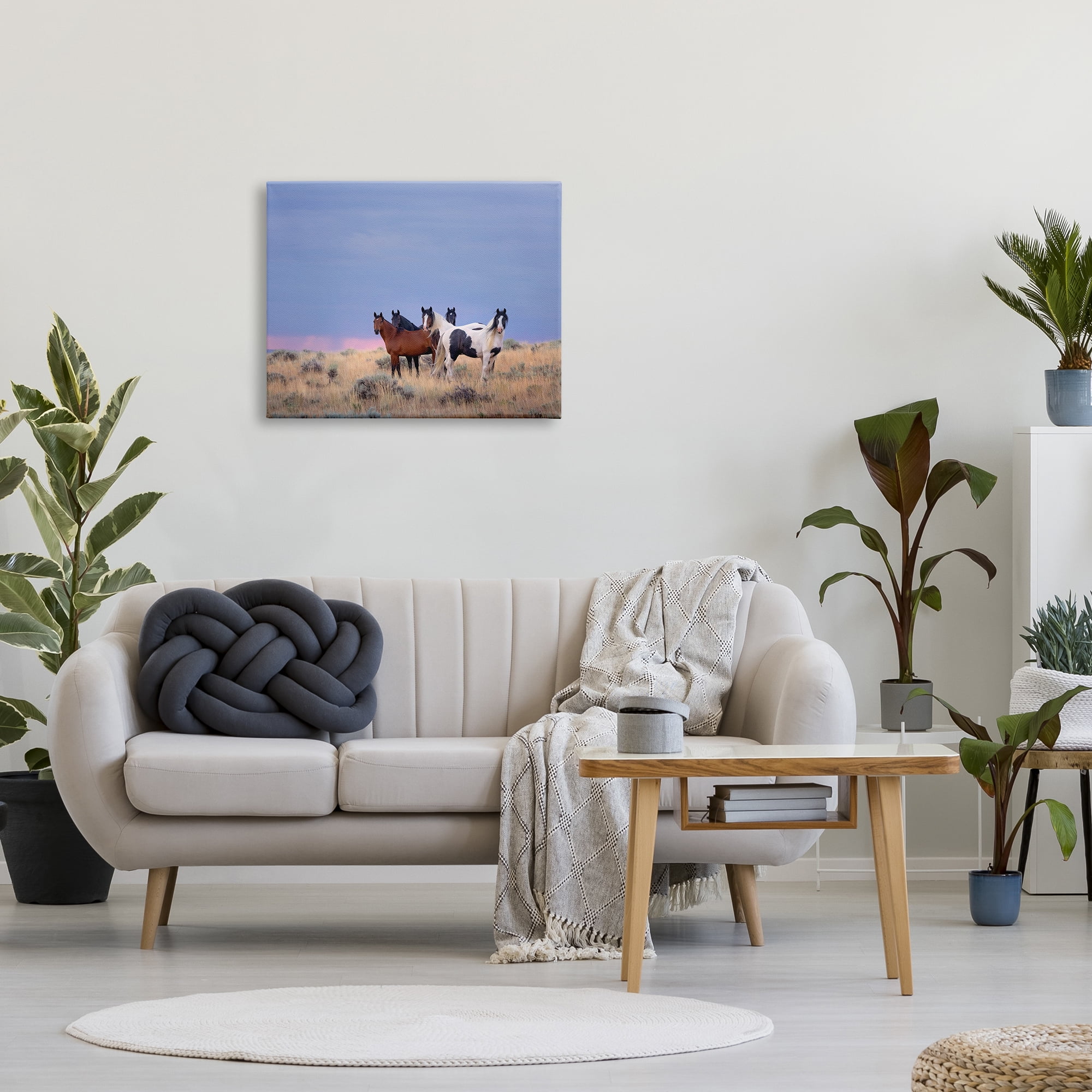 Stupell Industries Country Horses in Meadow Animals & Insects Photography Gallery Wrapped Canvas Art Print Wall Art, 30 x 24