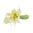 thumbnail image 3 of White Calla Lilies - Farm Direct Fresh Cut Flowers - 36 Stems, 3 of 7