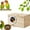 as show, variant on Parakeet Nesting Box Wooden Bird House Breeding Box for Lovebirds Parrotlets Budgies with Perch Ledge and Hinged Lid for Easy Cleaning Bird Cage Accessories