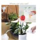 thumbnail image 4 of Irrigation Bottle Indoor Plant Watering Can Water Squirt Bottle Plastic Rinse Bottle For Eyelash Extensions Eye Wash Tattoo Lab (1pc), 4 of 4