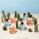 thumbnail image 4 of Perfume Hollister Canyon Escape EDP 100 ml para mujer (paquete de 2), 4 of 4