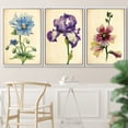 thumbnail image 2 of PixonSign Framed Wall Art Print Set Vintage Watercolor Iris Flower Variety Floral Wilderness Illustrations Modern Art Glam Colorful Multicolor Cool for Living Room, Bedroom, Office - 24"x36"x3 White, 2 of 5