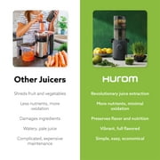 Hurom Cold Press Juicer Machine, H310 Easy Clean Slow Juicer (Charcoal)