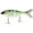Kiwi, variant on Bucca Brand Trick Shad Swimbait Pro Herring