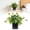 H, variant on Small Artificial Hanging Plant,Artificial Potted Plants for Indoor Outdoor Aesthetic ,Lifelike Faux Hanging Pothos with Ivy Vine for Shelf Decor in Home Office Gardens Greenery by Elapind