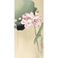 thumbnail image 3 of Koson, Ohara 11x18 Black Modern Framed Museum Art Print Titled - Songbird and LotusÂ&nbsp;, 3 of 5