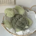 thumbnail image 4 of Tortuga de peluche de animales para niños, lindo bebé, súper verde, regalo de juguete para bebé, 28/35/40CM2023, 4 of 5