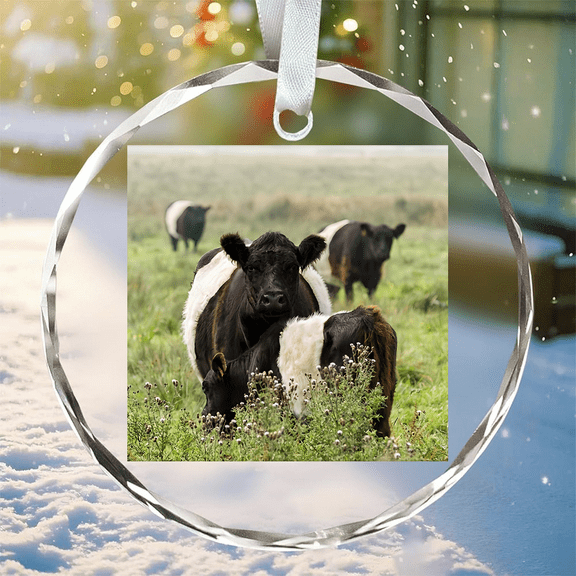 Belvo Belted Galloway Cows Ornament, Trending Decor, Crystal Glass Ornament