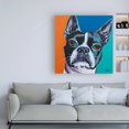 thumbnail image 3 of Trademark Fine Art 'Dog Friend III' Canvas Art by Carolee Vitaletti, 3 of 3