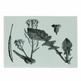 thumbnail image 1 of Black and White Cutting Board, Sketch Art Style Root Vegetable Leaves Turnip and Flowering Mustard Plant, Decorative Tempered Glass Cutting and Serving Board, Small Size, Black White, by Ambesonne, 1 of 1