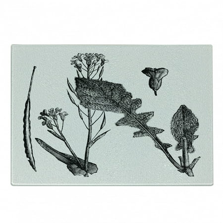 

Black and White Cutting Board Sketch Art Style Root Vegetable Leaves Turnip and Flowering Mustard Plant Decorative Tempered Glass Cutting and Serving Board Small Size Black White by Ambesonne