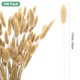 thumbnail image 3 of Uxcell 100 Pack Cola de Conejos Hierba 17" para Decoración del Hogar/Boda Natural, 3 of 7