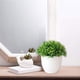 thumbnail image 4 of Wartleves Plantas de bolas artificiales, árbol en maceta, decoración para jardín, hogar, interior y oficina, 4 of 7