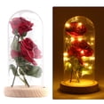 thumbnail image 5 of Tira De Luces Led De 20 Y 2 Uds. Rosa Rosa De Seda Artificial Con Pantalla De Cristal Blanco Cálido Diy Para Decoración Del Hogar Proyecto De Vacaciones Fiesta Regalo De Boda Yuarrent HA025916-02, 5 of 5