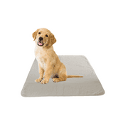 Puppy Training Washable Pee Pad - Heavy Duty, Super Absorbent - Reusable Economical Eco-Friendly Pads Premium Carpet/Seat Protection - For Small Dogs - 2 Pack Gray 6oz