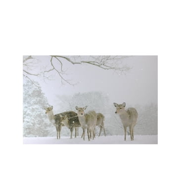 Northlight Small Fiber Optic Lighted Winter Woods with Deer Canvas Wall Art 12" x 11.75"