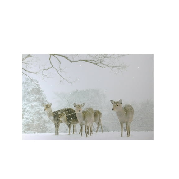 Northlight Small Fiber Optic Lighted Winter Woods with Deer Canvas Wall Art 12" x 11.75"